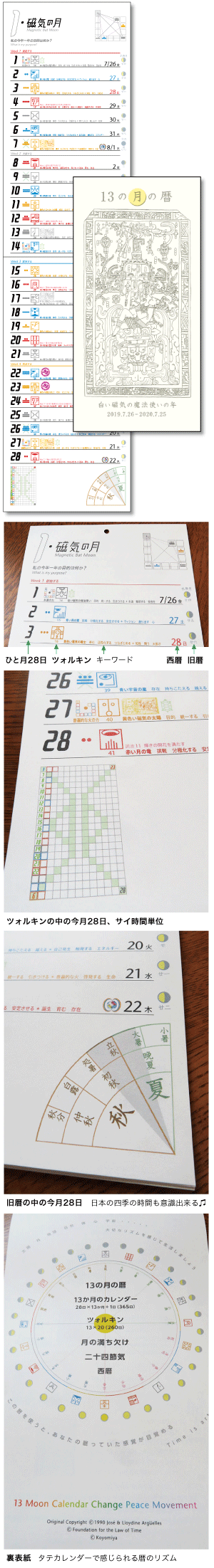 13の月の暦 タテ