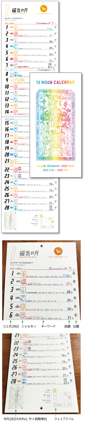 13の月の暦 タテ